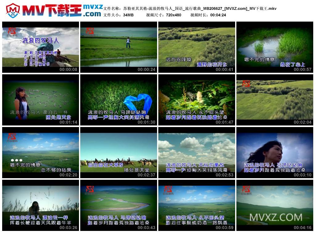 苏勒亚其其格-流浪的牧马人_国语_流行歌曲_MB206627